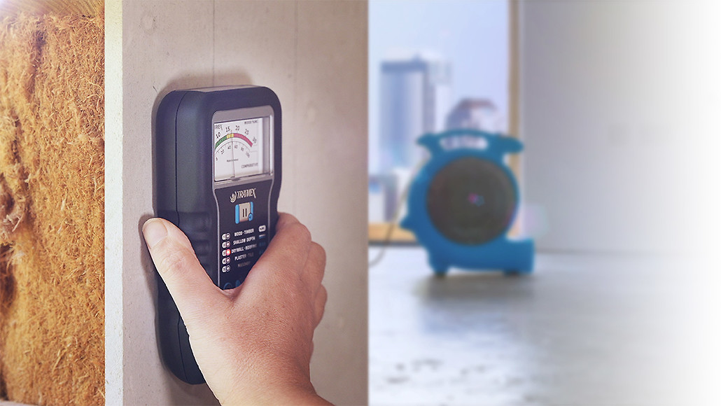 Moisture Testing Before Repairs